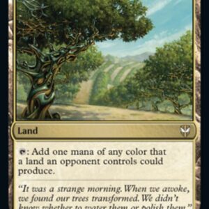 Exotic Orchard